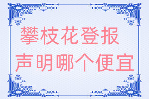 攀枝花登報(bào)聲明哪個(gè)便宜