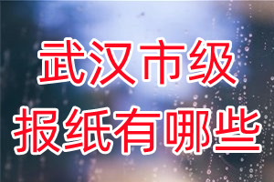 武漢市級(jí)報(bào)紙有哪些