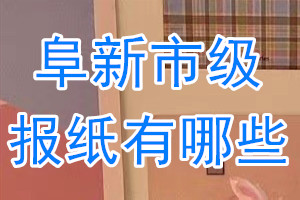 阜新市級報紙有哪些?